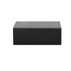 Palmer RIVER peene - Splitter ligne passif 2 canaux
