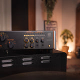 Palmer SUPREME SOAKER - Hub analogique dynamique pour amplificateur à lampes