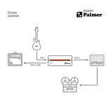 Palmer RIVER Wipper – Boîtier DI passif