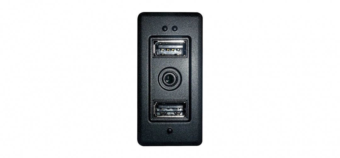 Pioneer CA-IW-VAG.002V Prise d'entrée USB/AUX
