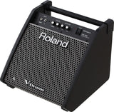 Roland PM-100 Monitor