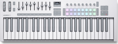 Novation Launchkey 49 MK4 MIDI-Cravier (Blanc)