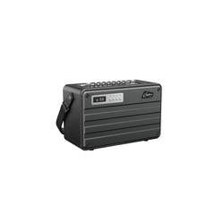 C.Perkins Roady FL - Enceinte de rue active
