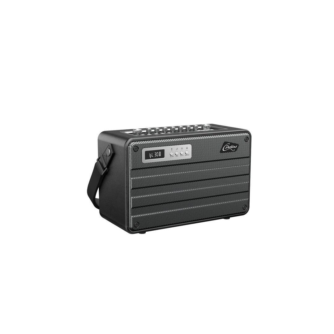 C.Perkins Roady FL - Enceinte de rue active
