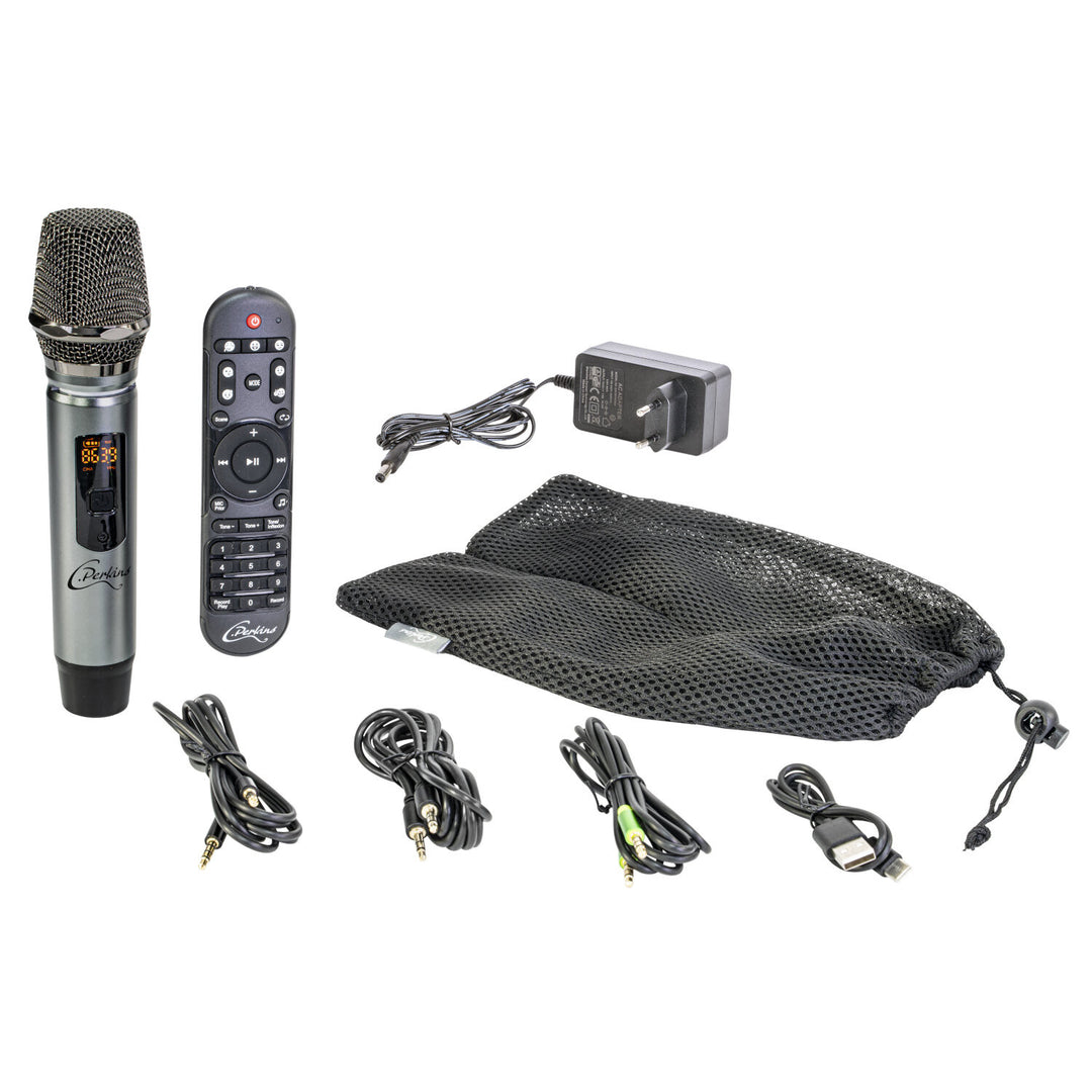 C.Perkins Roady FL - Enceinte de rue active