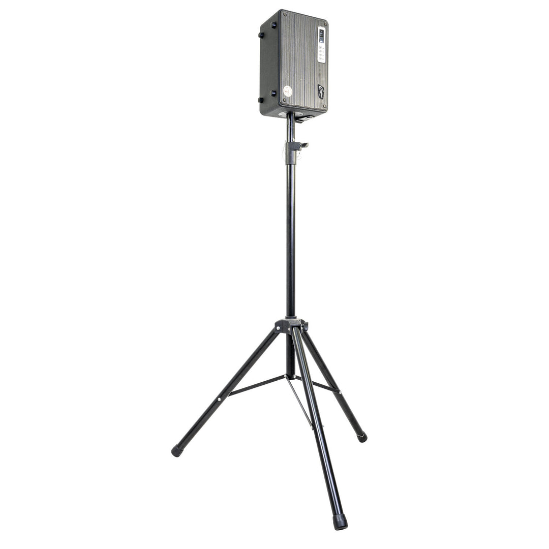 C.Perkins Roady FL - Enceinte de rue active