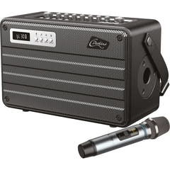C.Perkins Roady FL - Enceinte de rue active
