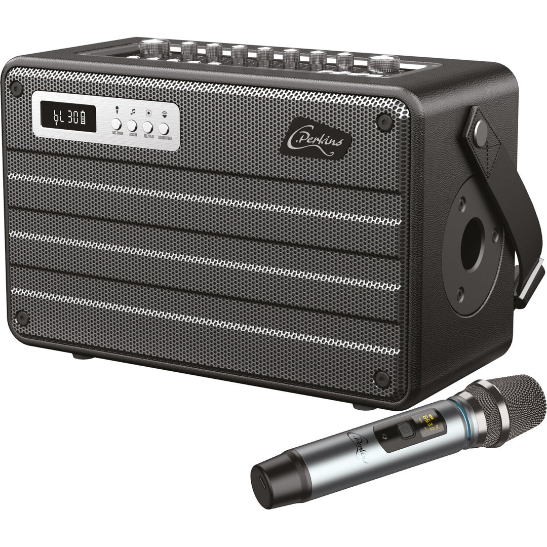 C.Perkins Roady FL - Enceinte de rue active