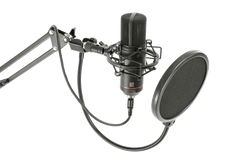 BST STM300-PLUS Ensemble de Microphone Streaming (Noir)