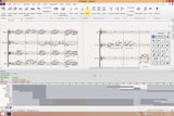 Sibelius Ultimate Perpetual PhotoScore NotateMe