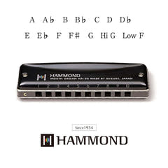 Hammond HA-20 Harmonicas (C)