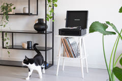 Crosley - Meuble pour tourne-disque Manchester (Blanc)