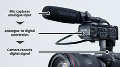 Tascam CA-XLR2D adaptateur microphone pour caméra, Fuji film