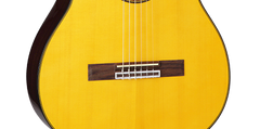 Takamine GC5CE-night Guitare espagnole classique (nature)