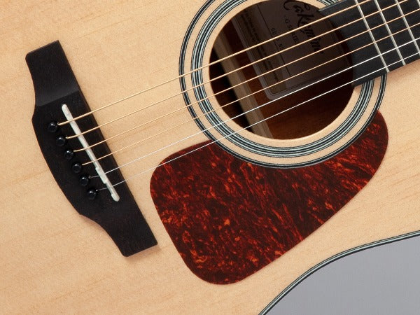Takamine GD10-NS Western Guitar (Natural)