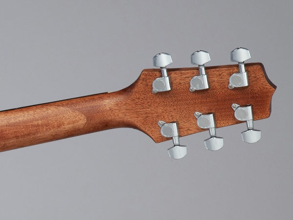 Takamine GD10-NS Western Guitar (Natural)