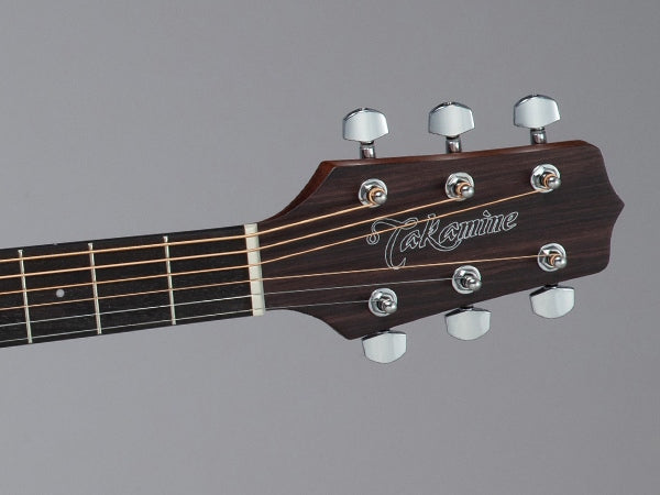 Takamine GD10CE NS Western Guitar (Natural)
