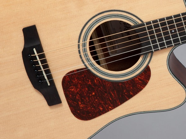 Takamine GD10CE NS Western Guitar (Natural)