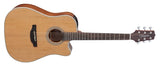 Takamine GD20CE-NS Western Guitar (Natural)
