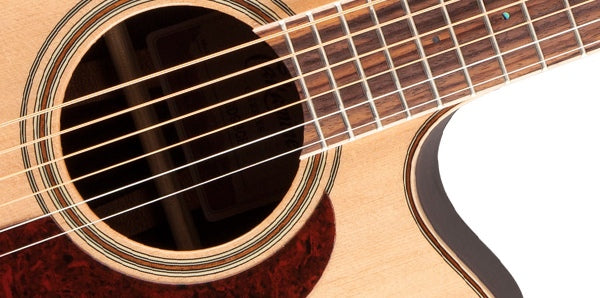 Takamine GD93CE-NAT Western Guitar (Natural)