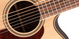 Takamine GD93CE-NAT Western Guitar (Natural)