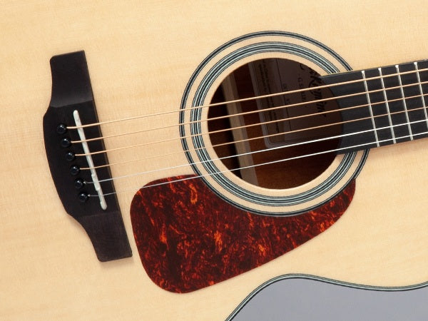 Takamine GN10-NS Western Guitar (Natural)