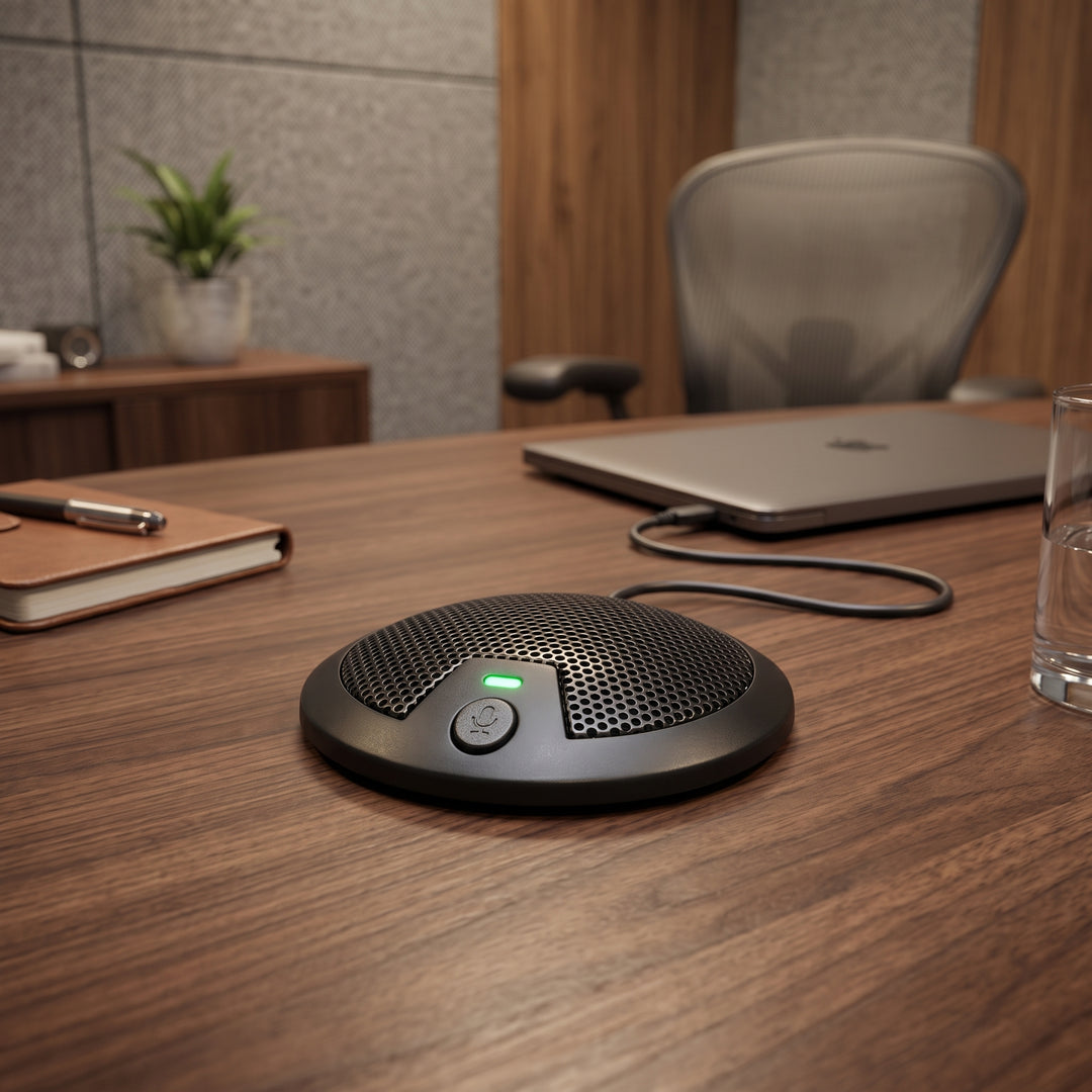 Renton UBS-C microphones de table