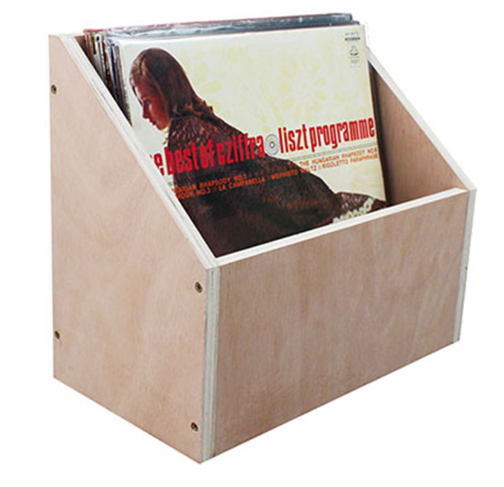 Boîte de Rangement pour Disques Vinyles
