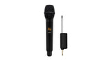 iCon WM 3.1 système de microphones sans fil