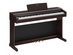 Yamaha YDP-146R Piano numérique (palissandre)