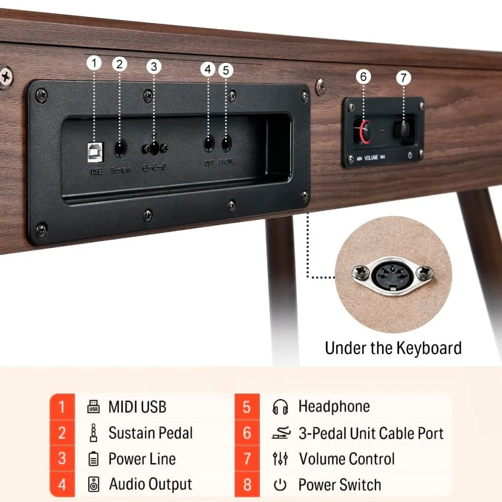 Donner DDP-80 Piano Électrique Noyer