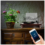 DNA TT1 Pladespiller med Bluetooth