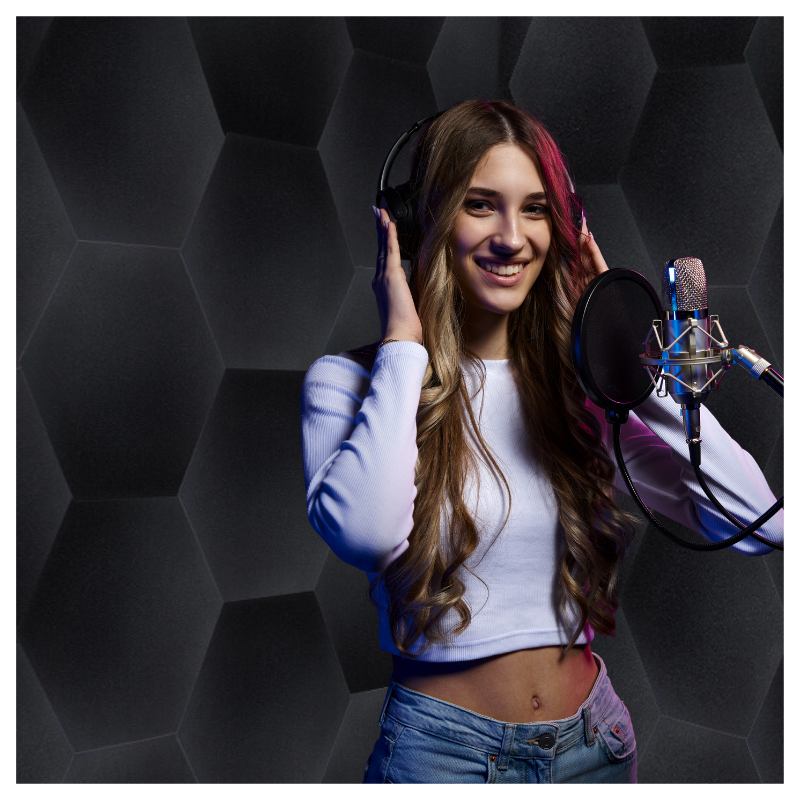 DNA AM3 BK Akustikpaneler 10 stk Sort Hexagon