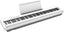 Roland FP-30X Digital Piano (White)