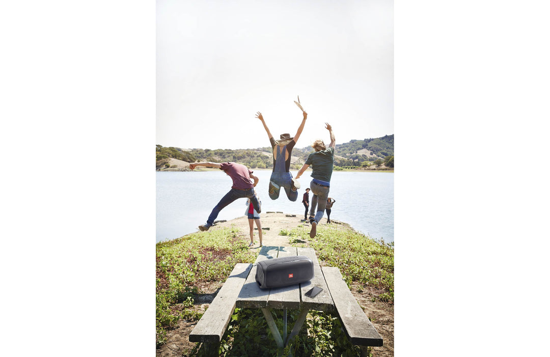 JBL BASS PRO GO Subwoofer Tout-en-Un & Enceinte Portable