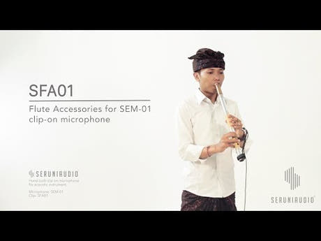 SFA01 Set d'accessoires pour flûte