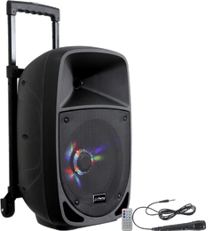 Ibiza Party8LED Enceinte de festival (300W)
