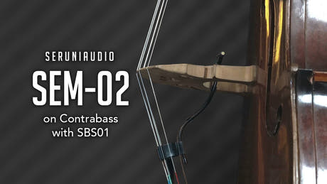 SBS01 Ensemble d'accessoires pour basse