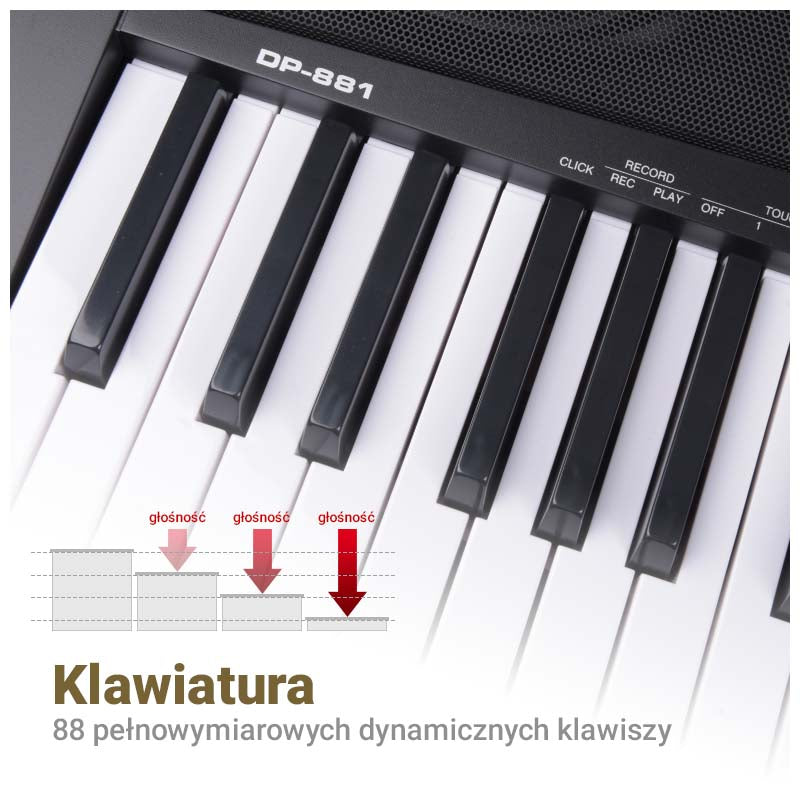 MK WP 881 touches d’apprentissage pour piano numérique