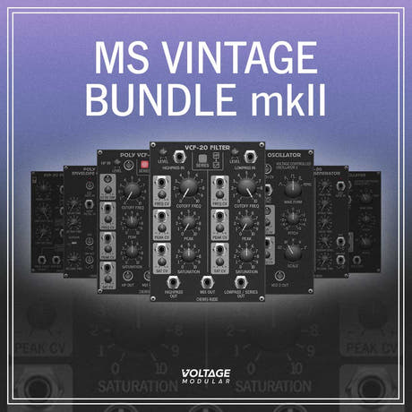 Pack MS Vintage pour VM