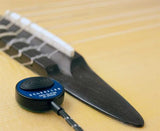 Schertler DYN-G-P48 microphone de contact pour guitares et banjos