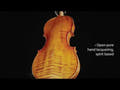 GEWA Violons Germania - 4/4 Model Rom (Set-up)