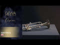 GEWA Vision TR272 trompette en Sib, vernis transparent