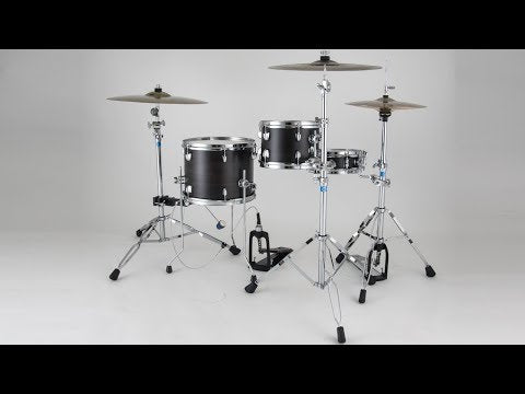 Dixon PODL520SN batterie, satin natural lacquer