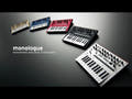 Korg Monologue Synthesizer (Sølv)