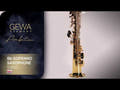GEWA Ambition SS650 saxophone soprano en Sib, finition dorée