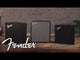 Rumble 40 Amplificateur basse