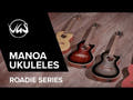 GEWA Ukulélés électro-acoustique ténor Manoa Roadie - E-A Tenor (Silver Shadow)