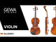 GEWA Violin Allegro - 1/4 (Ready to play incl. violin case, Massaranduba bow, Larsen Aurora strings, transport-secured)