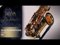 GEWA Ambition AS650 saxophone alto en Mib, finition dorée